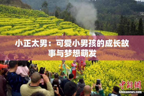 小正太男：可爱小男孩的成长故事与梦想萌发