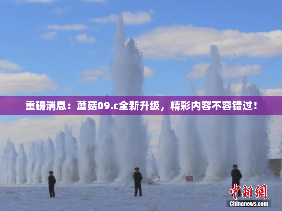 重磅消息：蘑菇09.c全新升级，精彩内容不容错过！