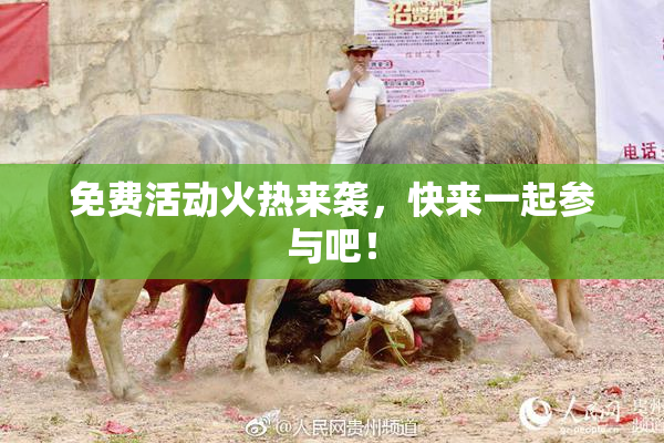 免费活动火热来袭，快来一起参与吧！