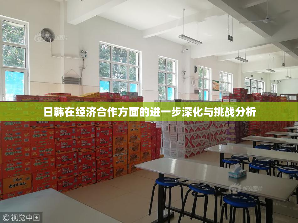 日韩在经济合作方面的进一步深化与挑战分析