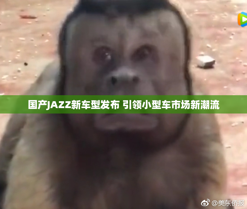 国产JAZZ新车型发布 引领小型车市场新潮流