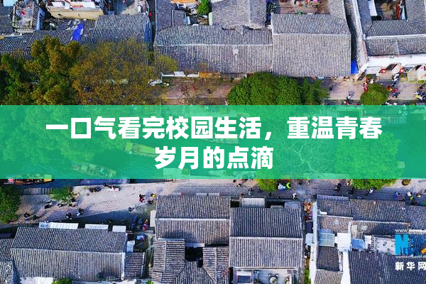 一口气看完校园生活，重温青春岁月的点滴