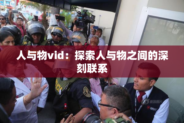 人与物vid：探索人与物之间的深刻联系