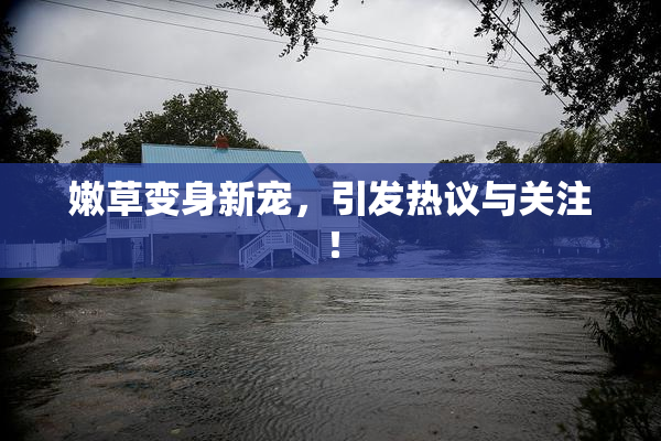 嫩草变身新宠，引发热议与关注！