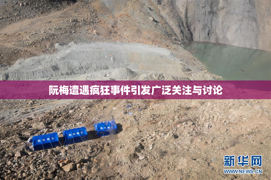 阮梅遭遇疯狂事件引发广泛关注与讨论