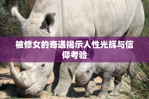 被修女的奇遇揭示人性光辉与信仰考验