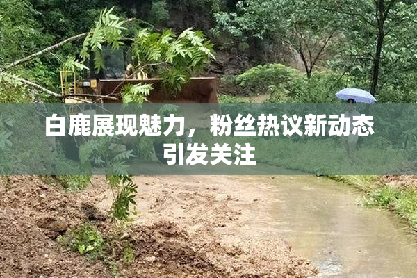 白鹿展现魅力，粉丝热议新动态引发关注