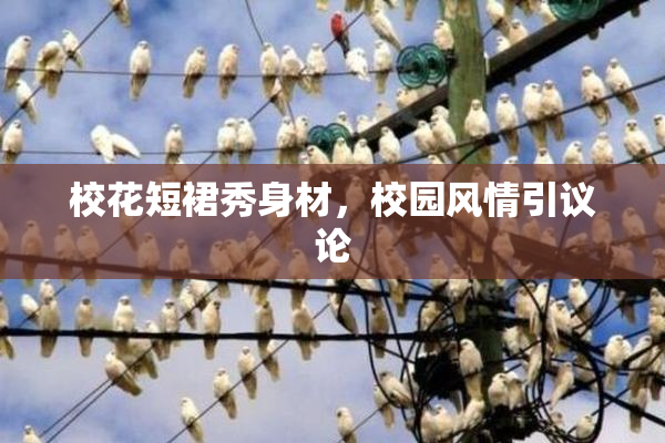 校花短裙秀身材，校园风情引议论