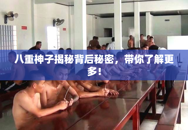 八重神子揭秘背后秘密，带你了解更多！