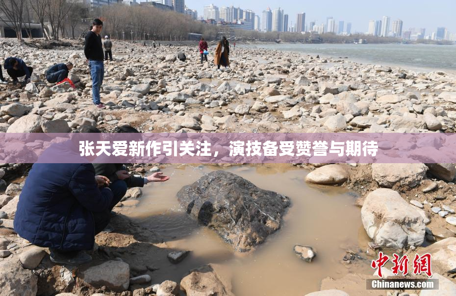 张天爱新作引关注，演技备受赞誉与期待