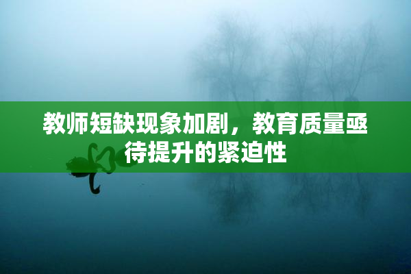 教师短缺现象加剧，教育质量亟待提升的紧迫性