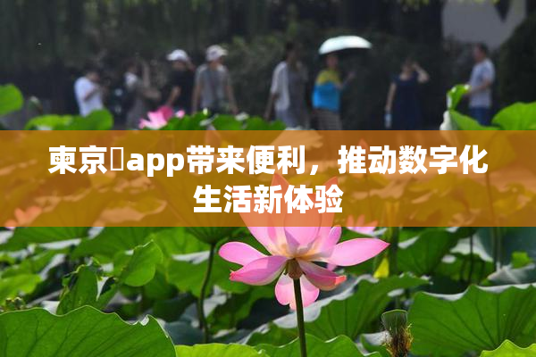 柬京埶app带来便利，推动数字化生活新体验