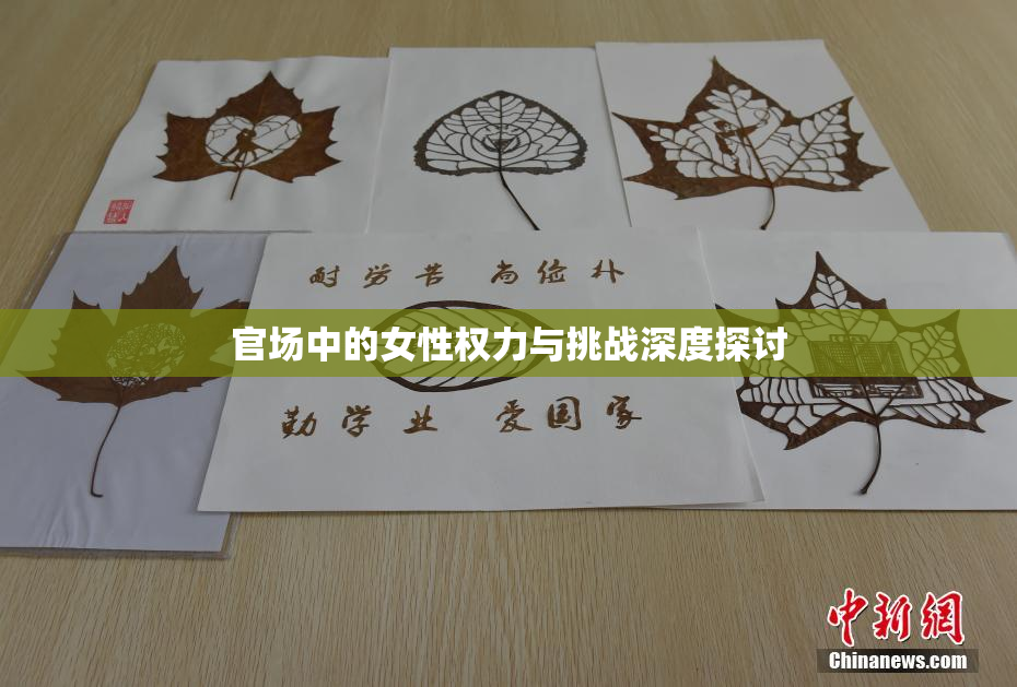 官场中的女性权力与挑战深度探讨