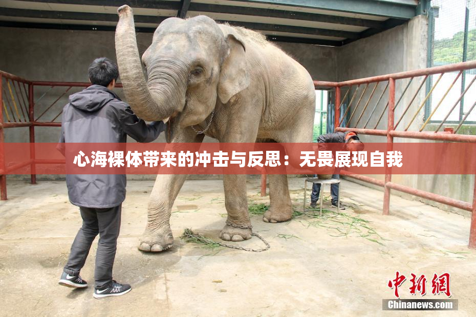 心海裸体带来的冲击与反思：无畏展现自我