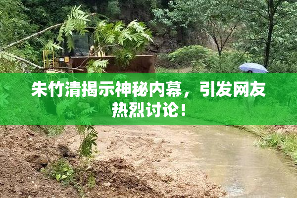 朱竹清揭示神秘内幕，引发网友热烈讨论！