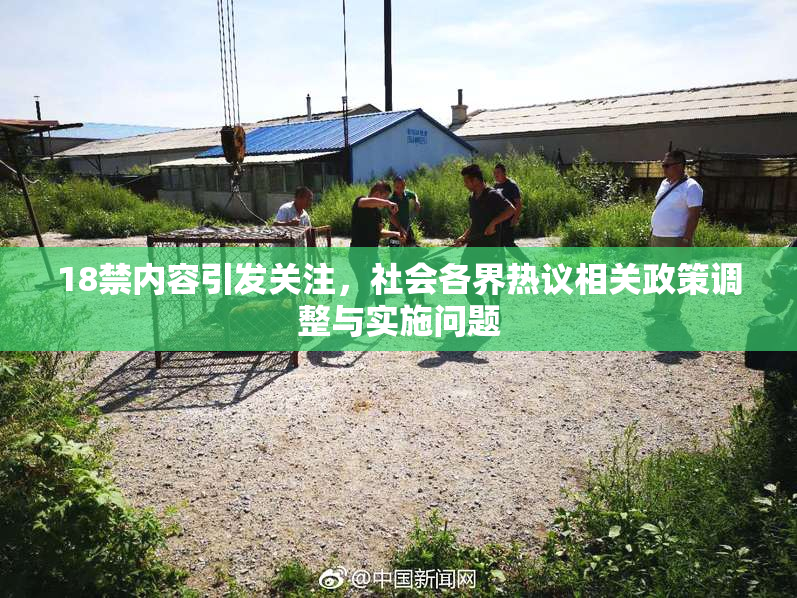 18禁内容引发关注，社会各界热议相关政策调整与实施问题