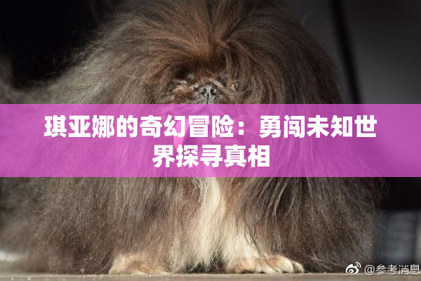 琪亚娜的奇幻冒险：勇闯未知世界探寻真相