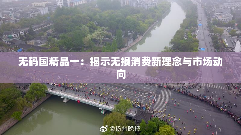 无码国精品一：揭示无损消费新理念与市场动向