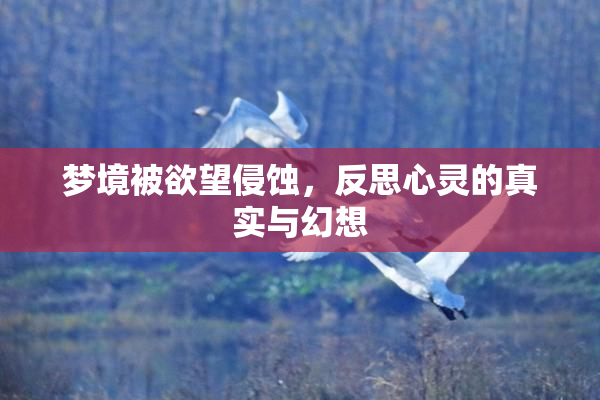 梦境被欲望侵蚀，反思心灵的真实与幻想