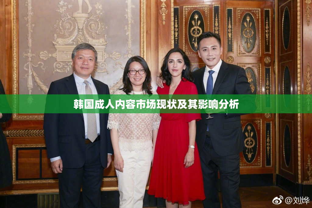 韩国成人内容市场现状及其影响分析