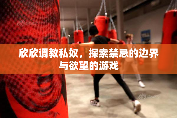 欣欣调教私奴，探索禁忌的边界与欲望的游戏