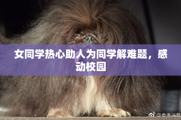 女同学热心助人为同学解难题，感动校园