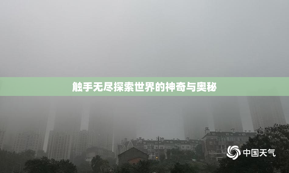 触手无尽探索世界的神奇与奥秘