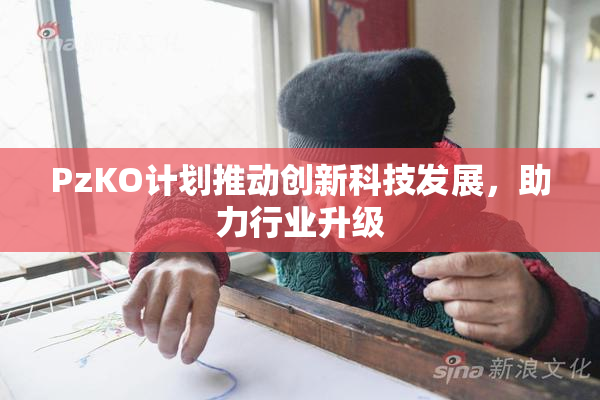 PzKO计划推动创新科技发展，助力行业升级