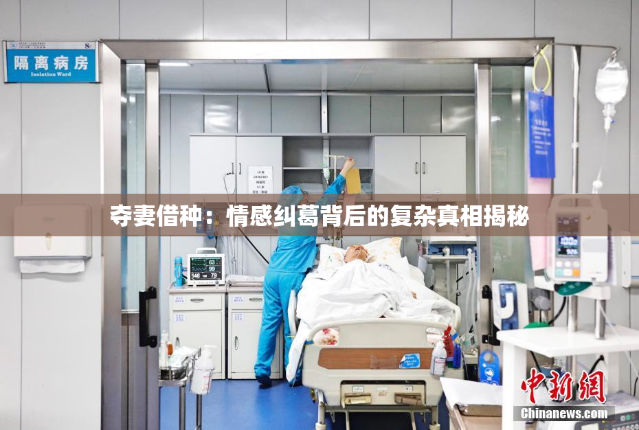 夺妻借种：情感纠葛背后的复杂真相揭秘