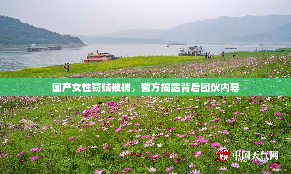 国产女性窃贼被捕，警方揭露背后团伙内幕