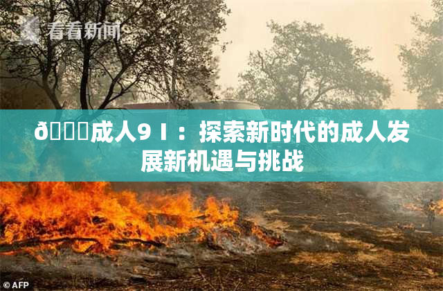 🔞成人9Ⅰ：探索新时代的成人发展新机遇与挑战