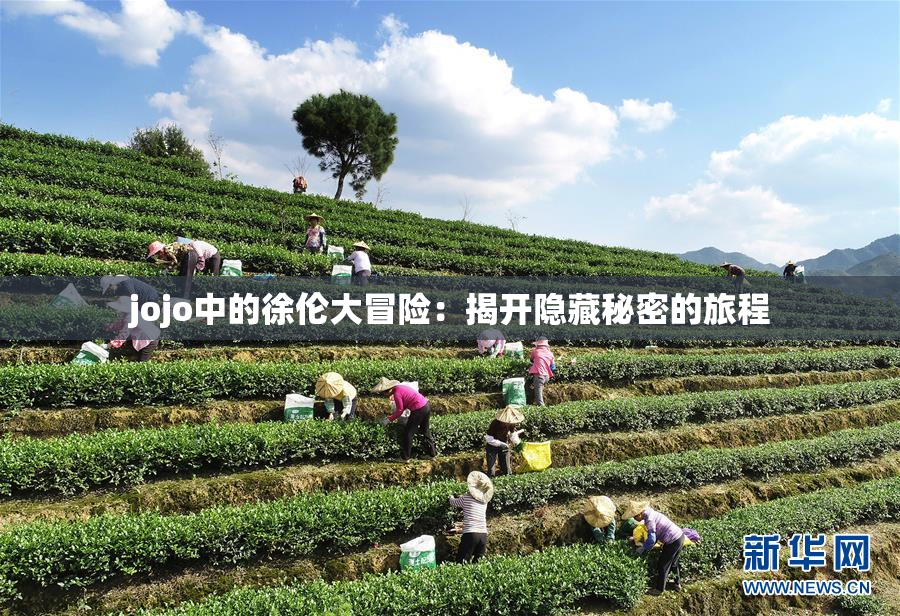 jojo中的徐伦大冒险：揭开隐藏秘密的旅程