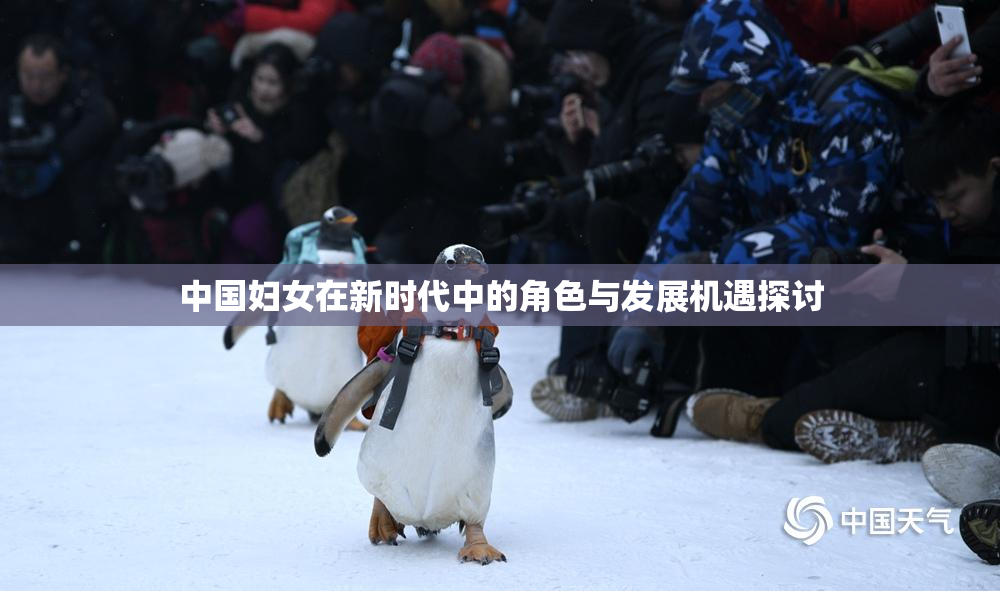 中国妇女在新时代中的角色与发展机遇探讨