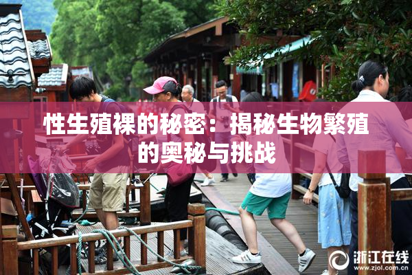 性生殖裸的秘密：揭秘生物繁殖的奥秘与挑战