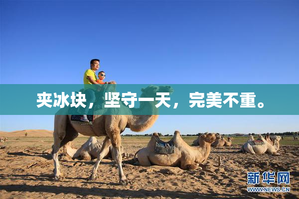 夹冰块，坚守一天，完美不重。