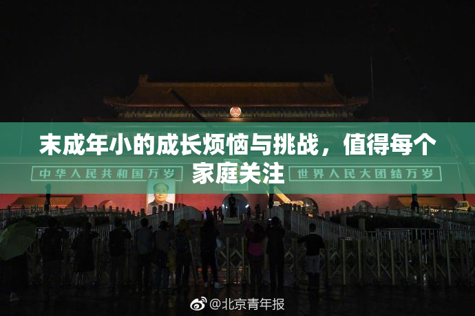 末成年小的成长烦恼与挑战，值得每个家庭关注