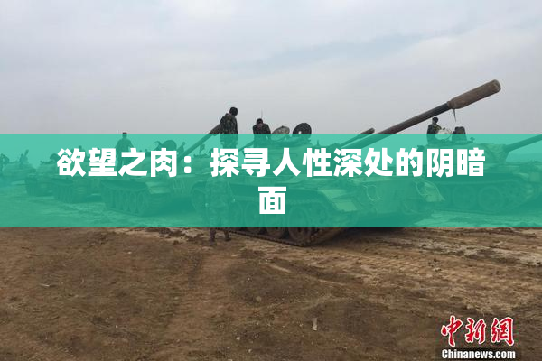 欲望之肉：探寻人性深处的阴暗面