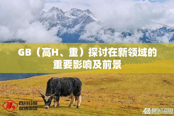 GB（高H、重）探讨在新领域的重要影响及前景