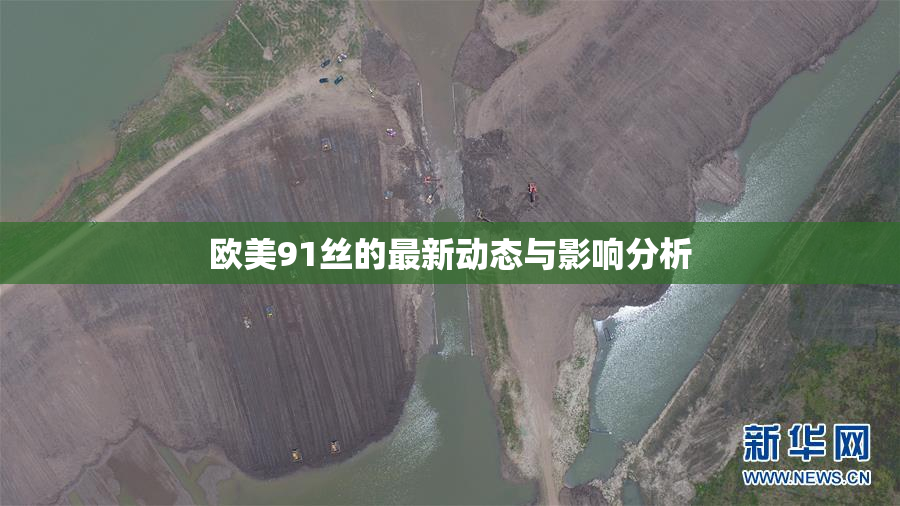 欧美91丝的最新动态与影响分析