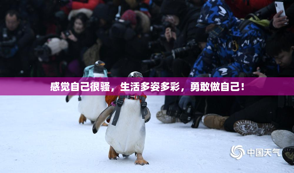 感觉自己很骚，生活多姿多彩，勇敢做自己！