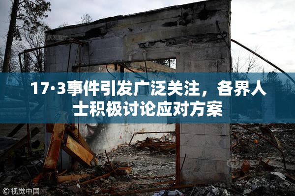 17·3事件引发广泛关注，各界人士积极讨论应对方案