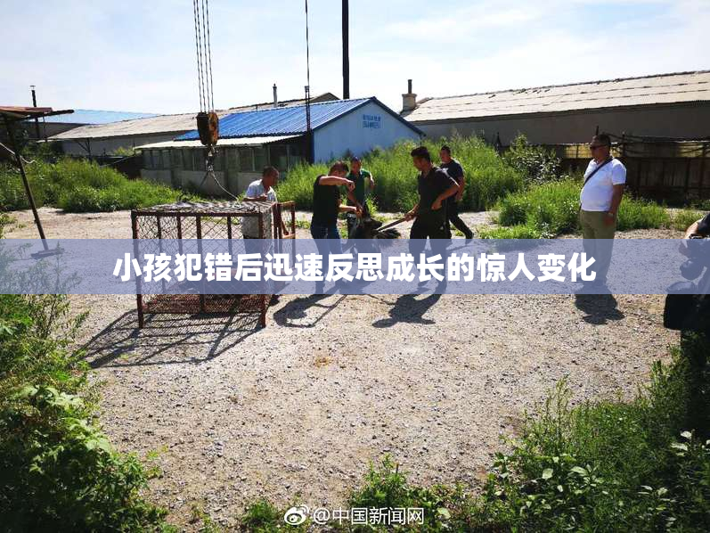 小孩犯错后迅速反思成长的惊人变化