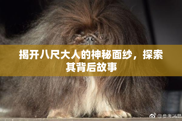 揭开八尺大人的神秘面纱，探索其背后故事
