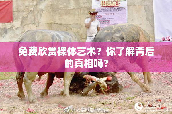 免费欣赏裸体艺术？你了解背后的真相吗？
