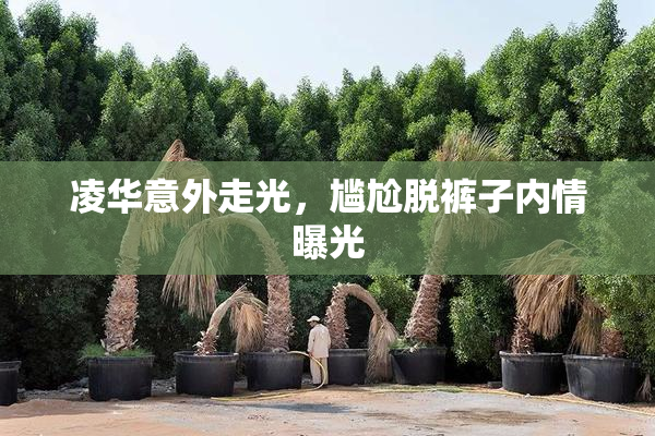 凌华意外走光，尴尬脱裤子内情曝光