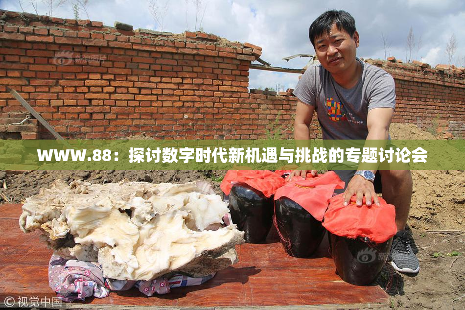 WWW.88：探讨数字时代新机遇与挑战的专题讨论会