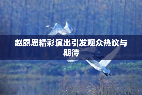 赵露思精彩演出引发观众热议与期待