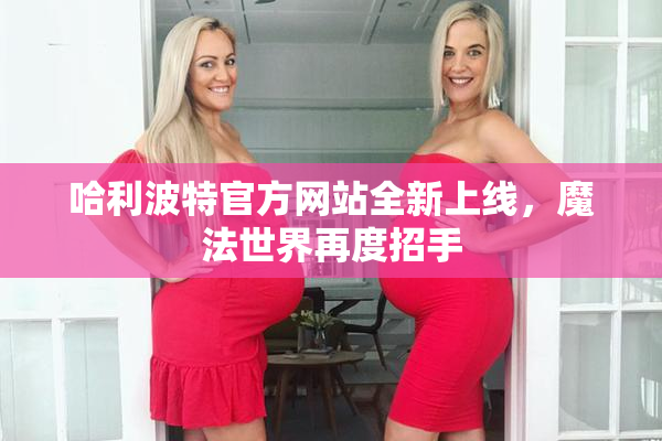 哈利波特官方网站全新上线，魔法世界再度招手