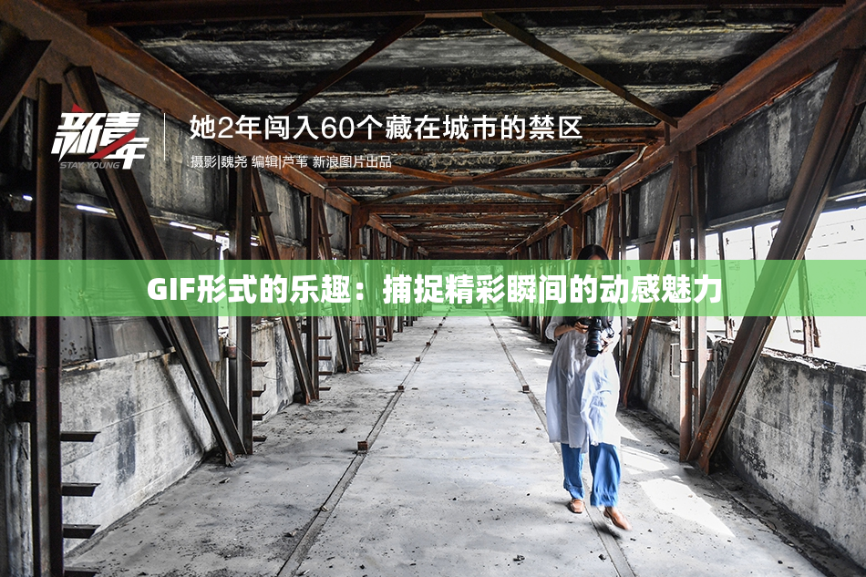 GIF形式的乐趣：捕捉精彩瞬间的动感魅力