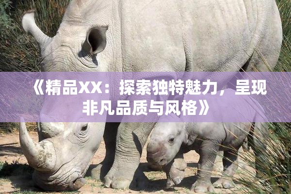 《精品XX：探索独特魅力，呈现非凡品质与风格》
